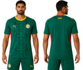 Camisa Seleção Senegal Verde 2026