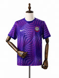 Corinthians GK Purple Jersey front wood mannequin white background