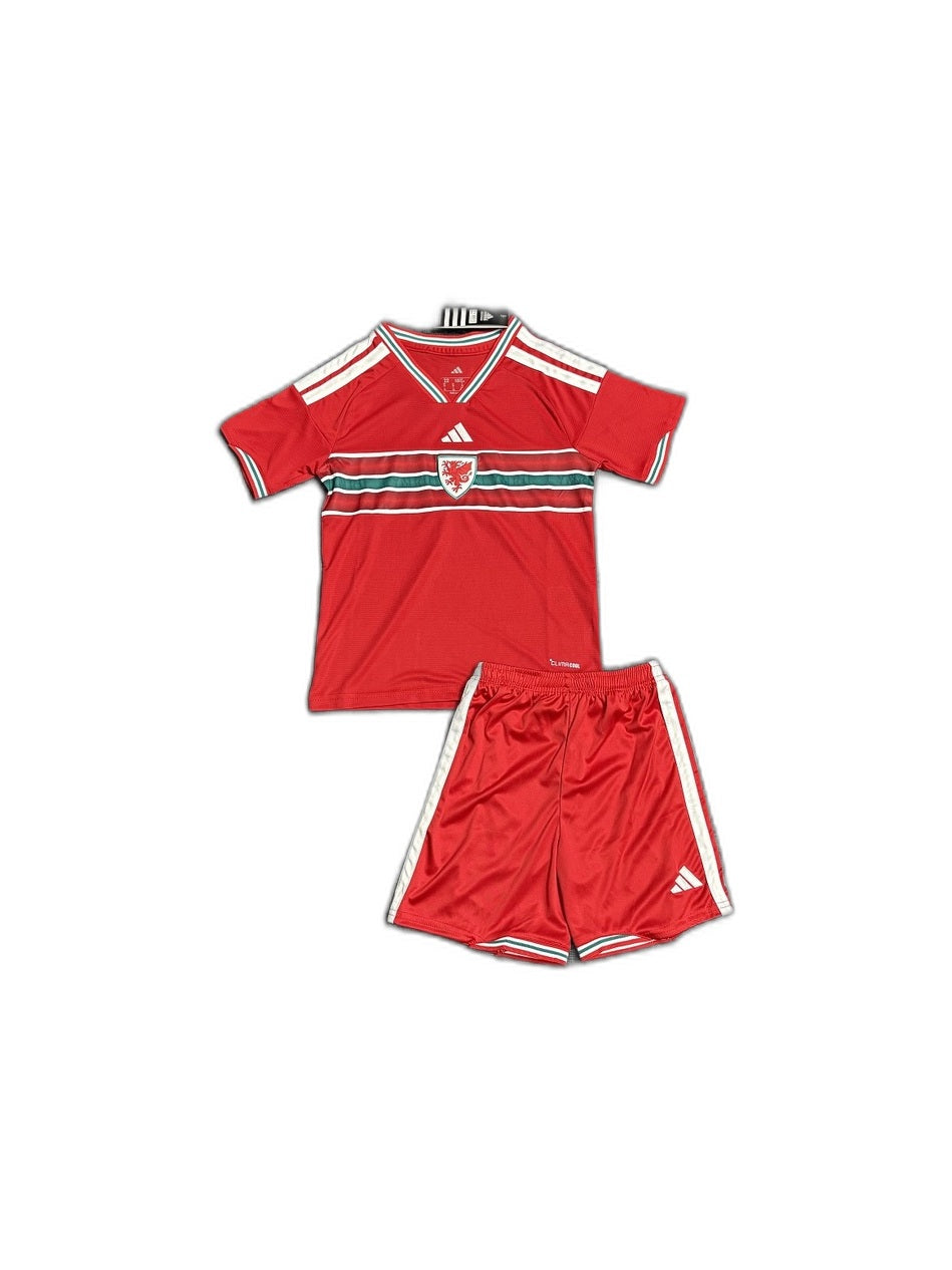 Camisa 2026 Wales Home Infantil frente fundo branco