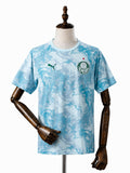 Palmeiras 26/27 Pre-Match Jersey front wood mannequin white background