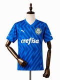 Palmeiras Goalkeeper Blue Jersey front wood mannequin white background