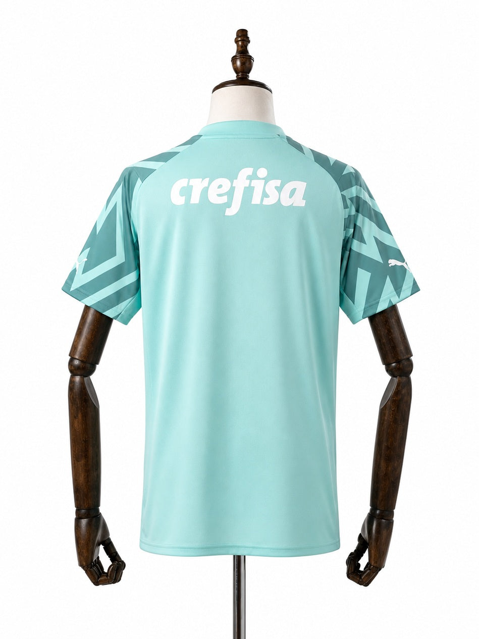 Palmeiras Goalkeeper Jersey back wood mannequin white background