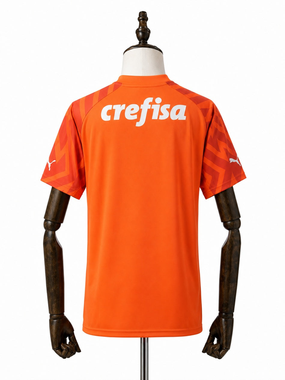 Palmeiras Goalkeeper Jersey back wood mannequin white background