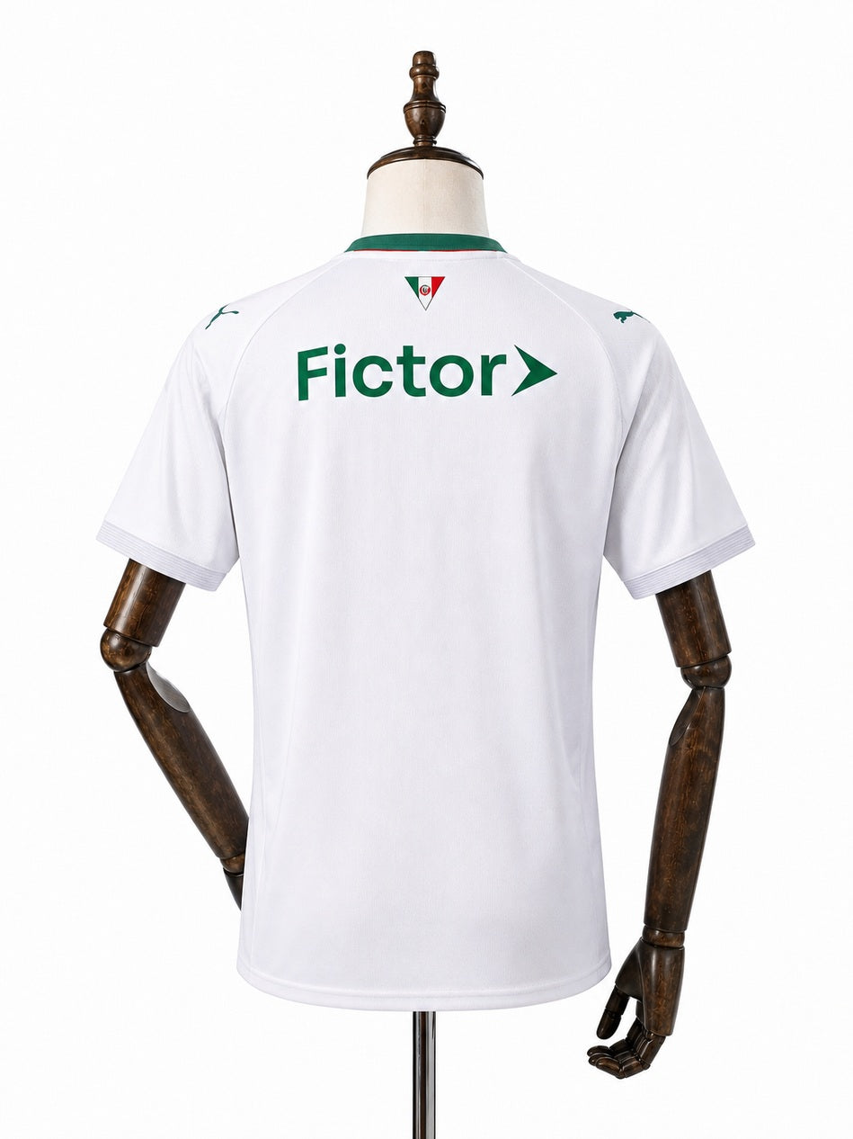 Palmeiras SE Palmeiras Away Jersey 2026/27 back wood mannequin white background