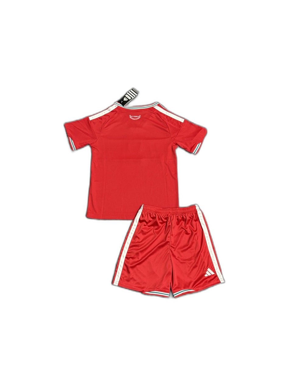 Camisa 2026 Wales Home Infantil verso fundo branco